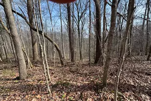 24115 Sanes Creek, Laurel, IN 47024 - Photo 24