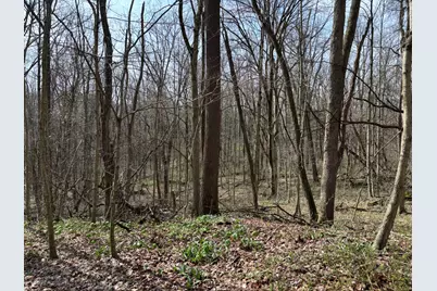 24115 Sanes Crk., Laurel, IN 47024 - Photo 16