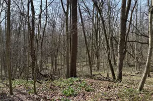 24115 Sanes Creek, Laurel, IN 47024 - Photo 16