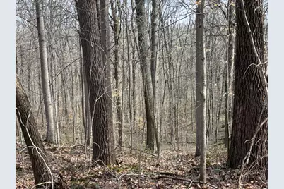 24115 Sanes Crk., Laurel, IN 47024 - Photo 22