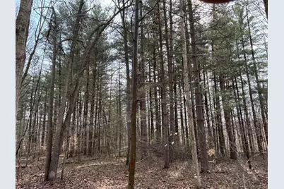 24115 Sanes Crk., Laurel, IN 47024 - Photo 28