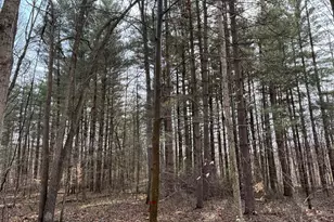 24115 Sanes Creek, Laurel, IN 47024 - Photo 28