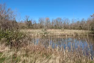 0 S Co Road 625, Milan, IN 47031 - Photo 1