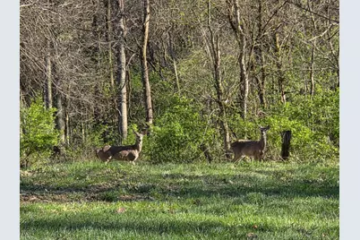 18180 Boone Robinson Road, Patriot, IN 47038 - Photo 38