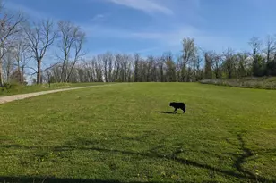 10185 Scotts Ridge Rd, Rising Sun, IN 47040 - Photo 30