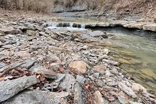 4405 Nixon Rd, Rising Sun, IN 47040 - Photo 4