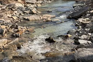 4405 Nixon Rd, Rising Sun, IN 47040 - Photo 2