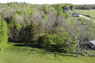 14471 State Road 250, Rising Sun, IN 47040 - Photo 22