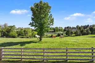 12388 Long Branch, Moores Hill, IN 47032 - Photo 40