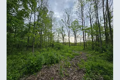 0 N Delaware, Milan, IN 47031 - Photo 4