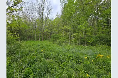 0 N Delaware, Milan, IN 47031 - Photo 2