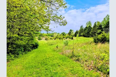 0 Long Branch Road, Moores Hill, IN 47032 - Photo 8