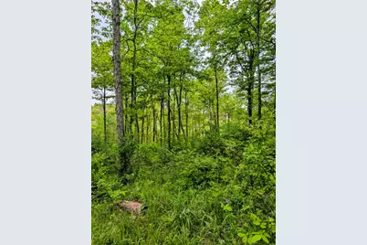 0 Long Branch Road, Moores Hill, IN 47032 - Photo 16