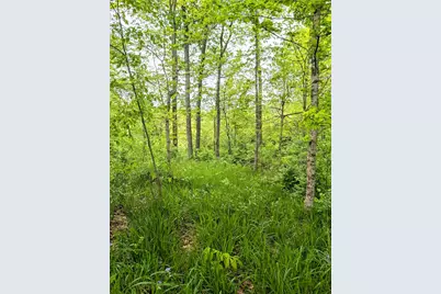 0 Long Branch Road, Moores Hill, IN 47032 - Photo 20