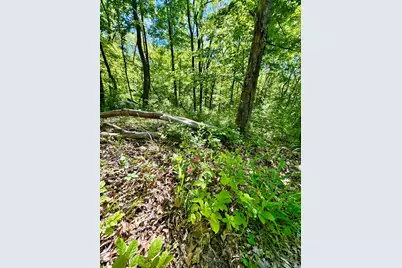 0 Kentucky Avenue, West Harrison, IN 47060 - Photo 12