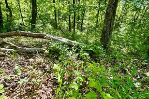 0 Kentucky Ave, West Harrison, IN 47060 - Photo 12