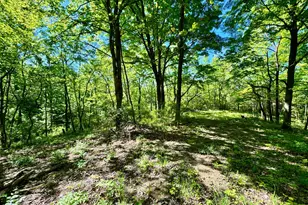 0 Kentucky Ave, West Harrison, IN 47060 - Photo 14