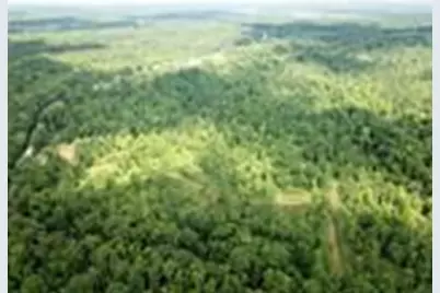 1 US 52, Laurel, IN 47024 - Photo 20