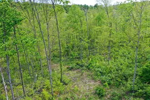 1 US 52, Laurel, IN 47024 - Photo 1