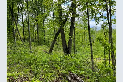 2 US 52, Laurel, IN 47024 - Photo 16
