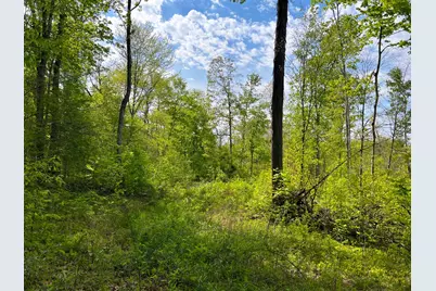 3 Us-52, Laurel, IN 47024 - Photo 2