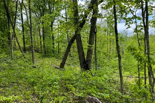 3 US-52, Laurel, IN 47024 - Photo 1