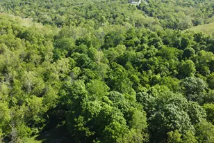 12810 Devers Rd, Patriot, IN 47038 - Photo 30