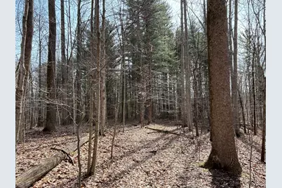 24115 Sanes Creek Rd Road, Laurel, IN 47024 - Photo 2