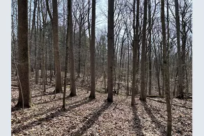 24115 Sanes Creek Rd Road, Laurel, IN 47024 - Photo 6