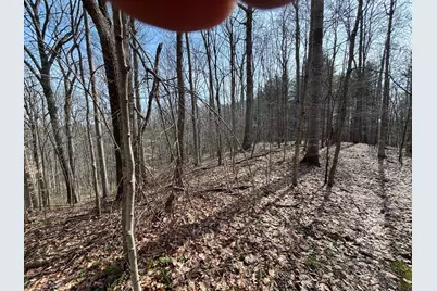 24115 Sanes Creek Rd Road, Laurel, IN 47024 - Photo 1