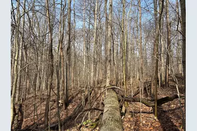24115 Sanes Creek Rd Road, Laurel, IN 47024 - Photo 12