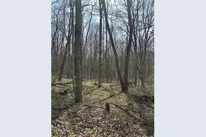 24115 Sanes Creek Rd Road, Laurel, IN 47024 - Photo 14