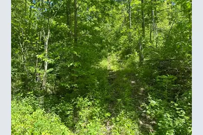 0 Searcy Ridge Road, Patriot, IN 47038 - Photo 24