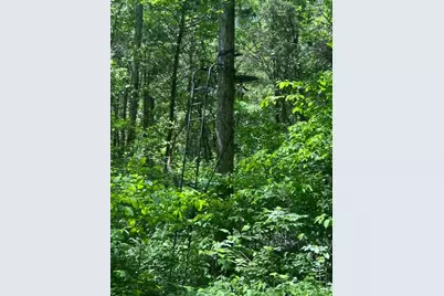 0 Searcy Ridge Road, Patriot, IN 47038 - Photo 28