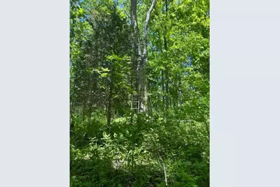 0 Searcy Ridge Road, Patriot, IN 47038 - Photo 20