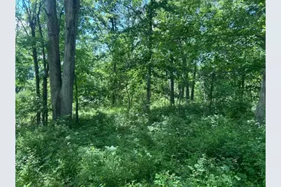 0 Searcy Ridge Road, Patriot, IN 47038 - Photo 30