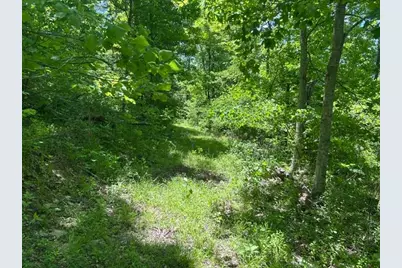 0 Searcy Ridge Road, Patriot, IN 47038 - Photo 16