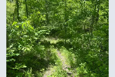 0 Searcy Ridge Road, Patriot, IN 47038 - Photo 22