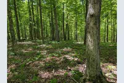 0 Long Branch Road, Moores Hill, IN 47032 - Photo 28