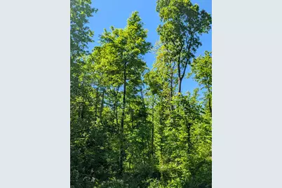 0 Long Branch Road, Moores Hill, IN 47032 - Photo 14