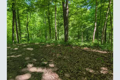 0 Long Branch Road, Moores Hill, IN 47032 - Photo 26