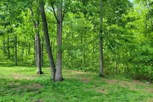 13557 Whippoorwill Dr, Milan, IN 47031 - Photo 42