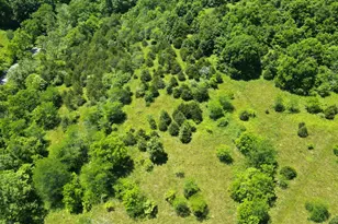 16098 Snail Creek Rd, Brookville, IN 47012 - Photo 36