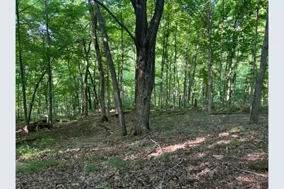 0 Sand Ridge Road, Patriot, IN 47038 - Photo 34
