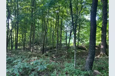 0 Sand Ridge Road, Patriot, IN 47038 - Photo 12