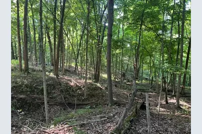 0 Sand Ridge Road, Patriot, IN 47038 - Photo 32