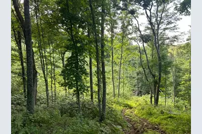 0 Sand Ridge Road, Patriot, IN 47038 - Photo 54