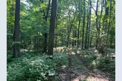 0 Sand Ridge Road, Patriot, IN 47038 - Photo 22