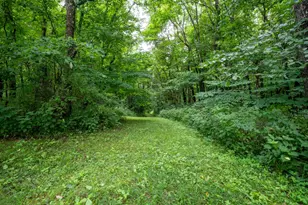 12567 White Plains Rd, Milan, IN 47031 - Photo 22