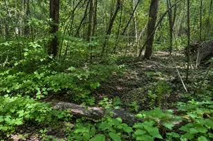 7080 Holland Rd, Brookville, IN 47012 - Photo 52
